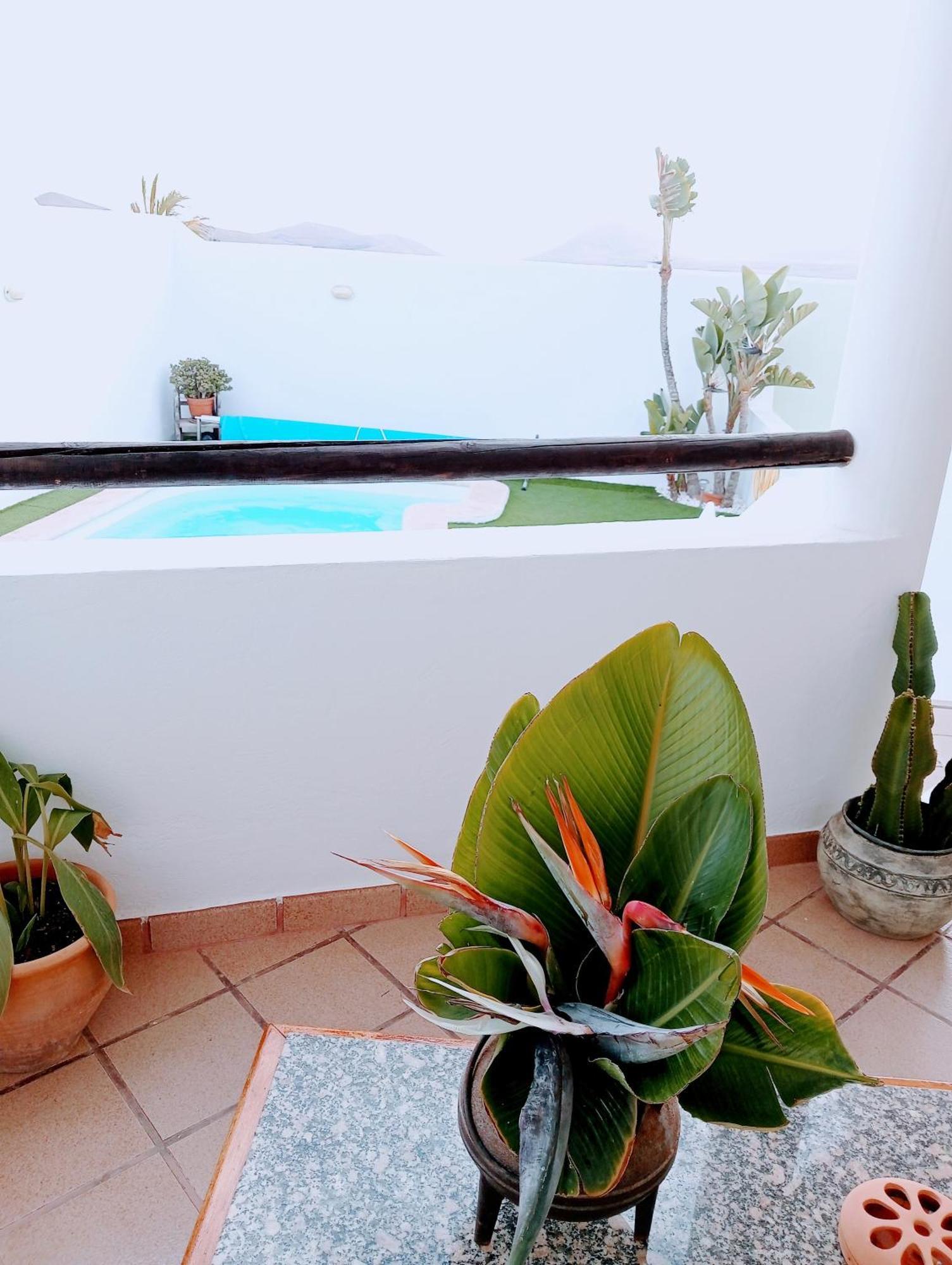 Casa Strelitzia Villa Nazaret Buitenkant foto