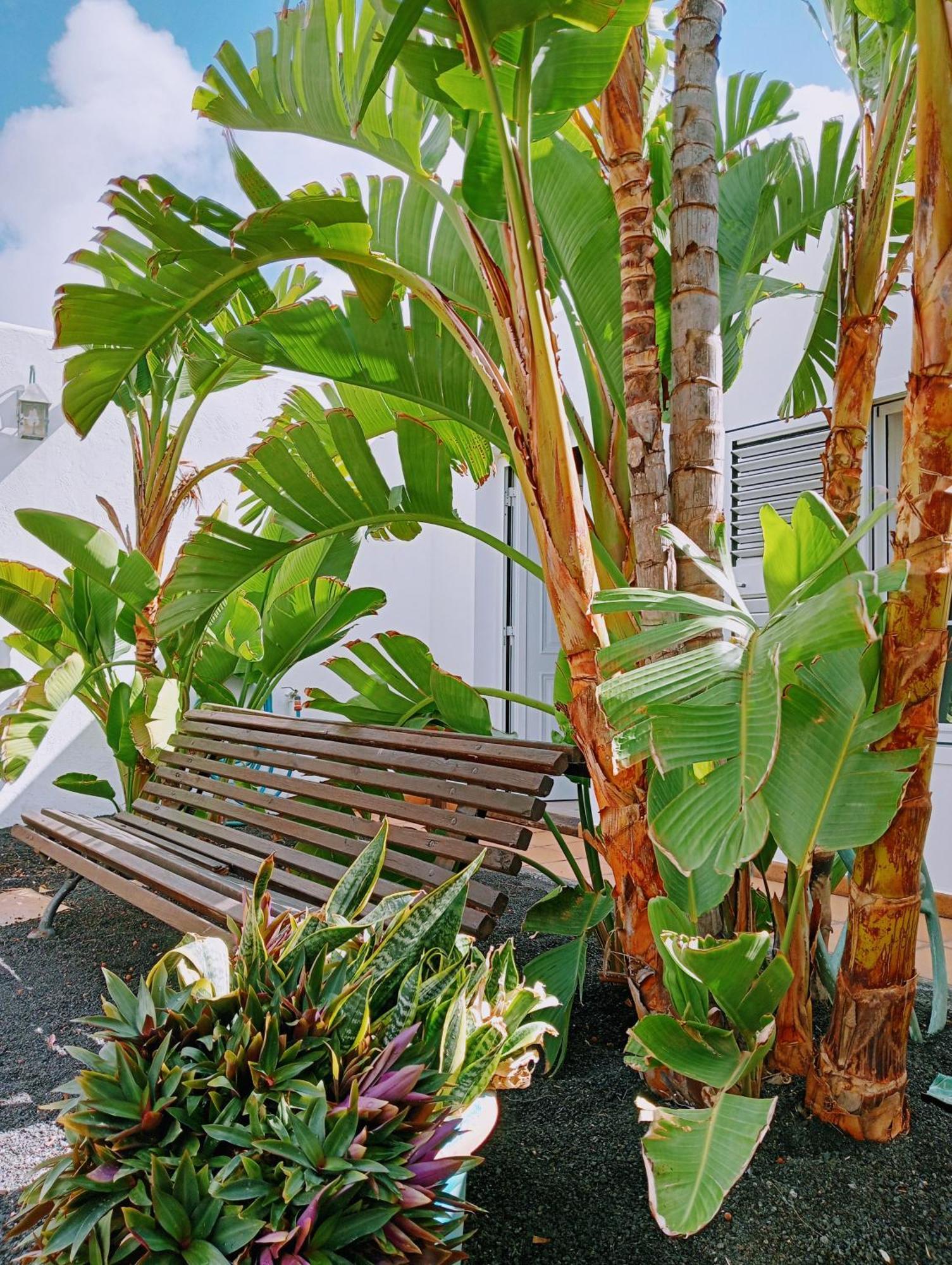 Casa Strelitzia Villa Nazaret Buitenkant foto