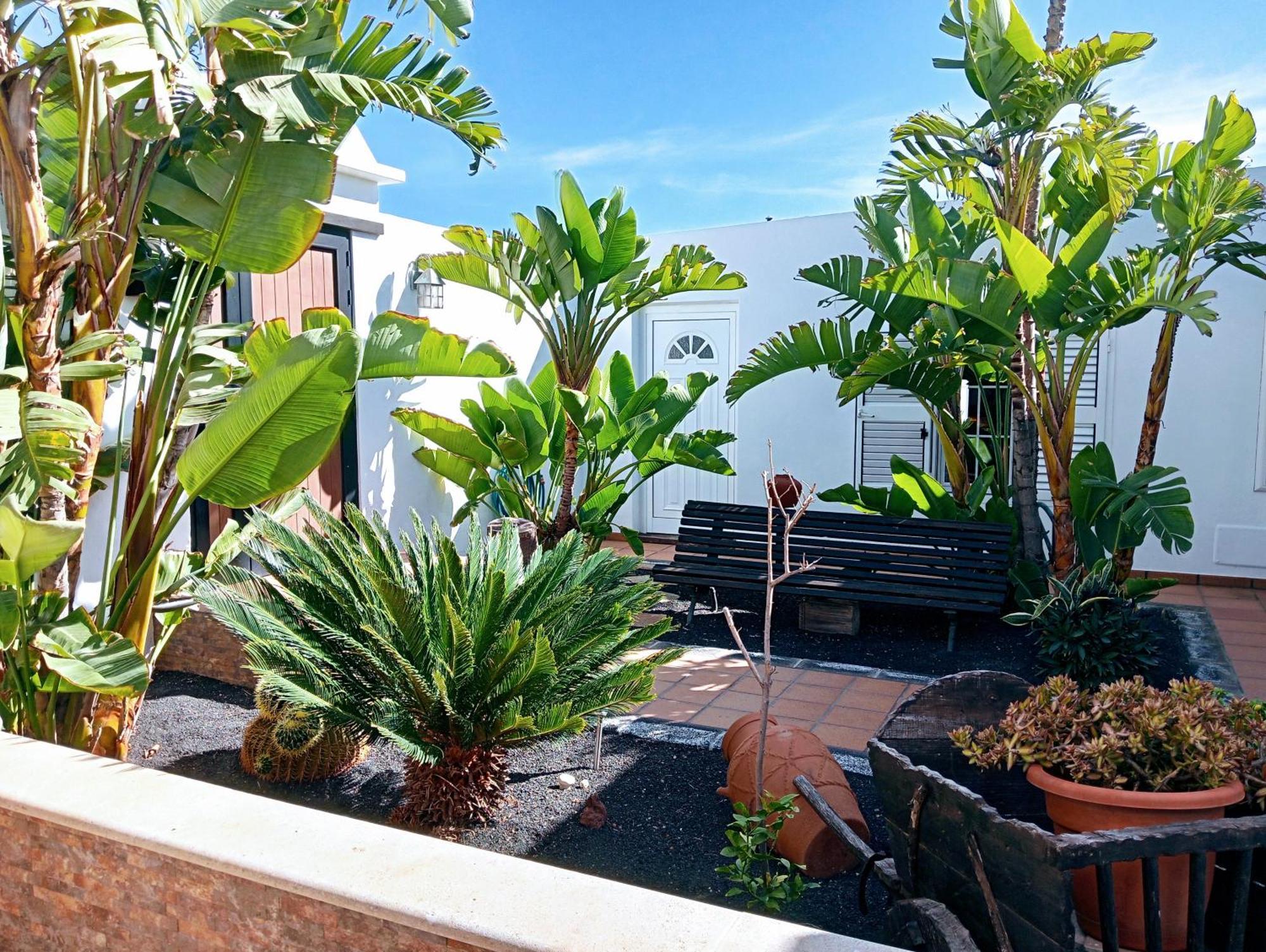 Casa Strelitzia Villa Nazaret Buitenkant foto